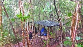 SOLO CAMPING WITH HEAVY RAIN||BUILD A SMALL HOUSE IN THE FOREST OF BORNEO