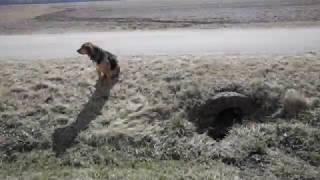 Cover Crops Prevent Erosion