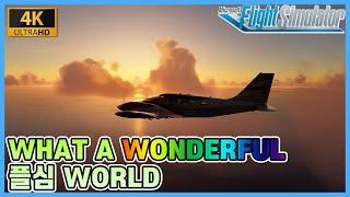 플라이트 시뮬레이터 2020│What a Wonderful 플심 World│힐링영상│4K│비행은 힐링│Microsoft Flight Simulator 2020