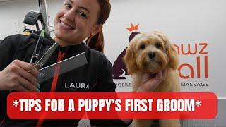 ENERGY AND TECHNIQUES USED FOR A PUPPY'S 1ST GROOMING EXPERIENCE