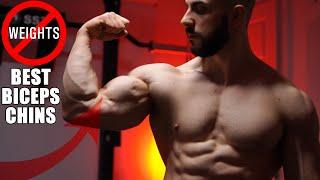 The BEST Chinups For Big Biceps | NO WEIGHTS!