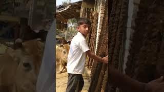 শফিক পাগলা মো। video viral How to money YouTube How to make money  how many yearsHow in