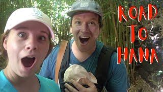 The Road to Hana - Maui Hawaii (Bamboo Forest & Coconut Glen's!)