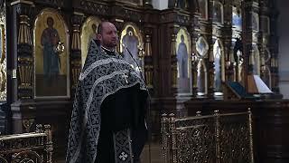 Проповедь на Пассии. Протоиерей Владимир Петручик