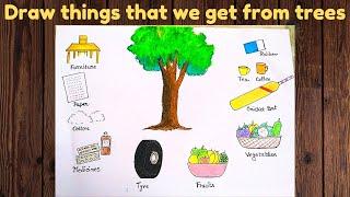 Draw things that we get from trees ll how to draw things that tree gives us ll we get from plants ll