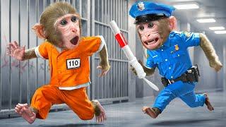 KiKi Monkey catch thief to do mission & escape Impossible Prison Maze challenge | KUDO ANIMAL KIKI