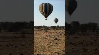 2 hours Africa Safari Hot air balloon costs  $200 to $500 #southafrica #tanzania #namibia #Kenya