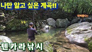 "서울"에서 30분 거리 계곡에 "산천어"가 살고있다!! 사람 한명 없는 1급수 계곡