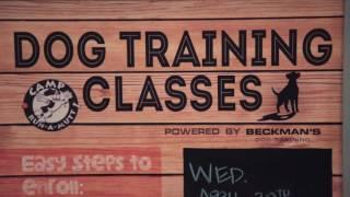 Beckman's Dog Training Intro