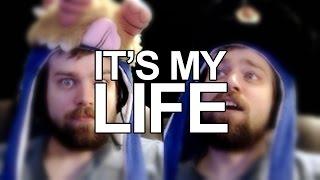 DizzyDizaster – It's My Life