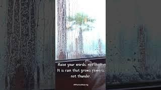 Words matter! #positivity #rumi #thoughtsfeelings #wordsofwisdom #rain #relaxing #calmness