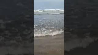 Diveagar ️ #diveagarbeach #shorts #shortvideo #shortfeed #beach #traveler #roadtrip #wanderlust