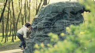 Young Boy Climbing A Rock In The Park, Pan Shot Hd. Stock Footage