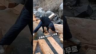 왜 나무는 꼭 네모로 자를까? 파키스탄의 놀라운 방법 #파키스탄 #벌목 #각목 #강물운송