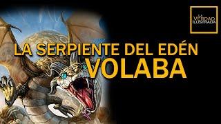  EN 1 MINUTO:  ¿SABÍAS QUE LA SERPIENTE EN EL EDÉN VOLABA?