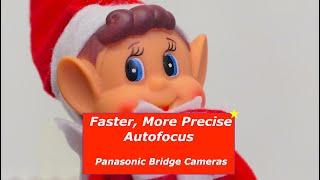 Panasonic Lumix Bridge Camera Autofocus Improvement