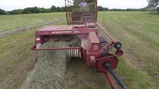 Small square baling grass hay with an International square baler