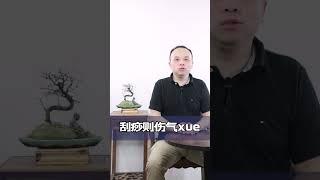 艾灸刮痧拔罐 养生调理哪家强 #中医 #艾灸#刮痧#健康