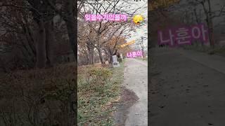 #나훈아 #잊을수가있을까