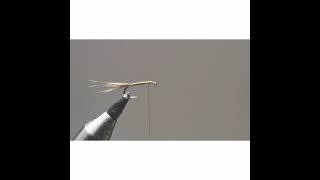 Olive parachuteze 14 dry fly hook, light olive ultra fine thread, pheasant tail thorax