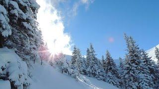 Зимові Карпати / Зимние Карпаты / Carpathians winter