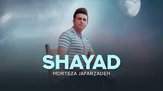 Morteza Jafarzadeh - Shayad | OFFICIAL AUDIO TRACK مرتضی جعفرزاده - شیاد