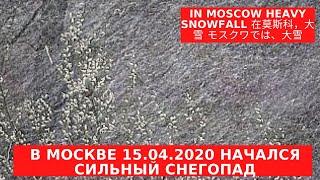 В Москве 15.04.2020 начался сильный снегопад In Moscow heavy snowfall 在莫斯科，大雪 モスクワでは、大雪  ziminvideo