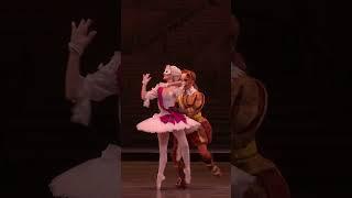 This duet is the cat's meow  The Royal Ballet's The Sleeping Beauty 2023 #ballet #theatre #cat