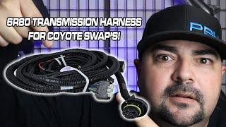 A transmission harness for Coyote Swap's PCP-1117