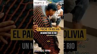 El PAICHE en Bolivia #bolivia #historia #peces #curiosidades