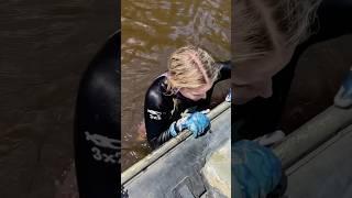 Am I cool or what? Scuba Diving Trick! #scubadiving #scubagirl #treasure  #youtubehighfive