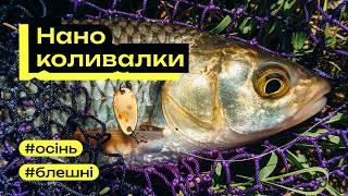 Наноколивалки і Гамакатсу. Рання осінь на гірській річці. Бистриця Надвірнянська. Головні і окуні.