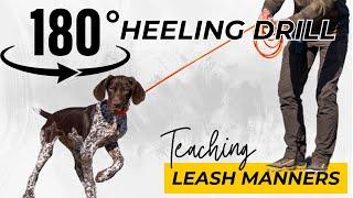 Great Drill To Teach Puppies Leash Manners - Intro To Heeling