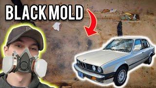 Cleaning BLACK MOLD Out of a Classic BMW!