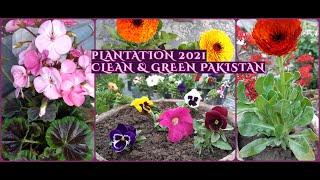 Home Gardening||Gardening Ideas||Flowers||Spring Season| Green & Clean Pakistan| Saba's Corner