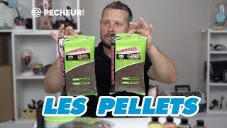 Tout sur les pellets pour la pêche au coup