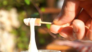 Miniature Cooking 치즈 핫도그| Mozzarella Cheese Hotdog|Mini Food|모짜렐라 치즈 핫도그 만들기
