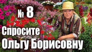 Какой объем горшка необходим цветущим растениям? Спросите Ольгу Борисовну №8.