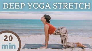 DEEP YOGA STRETCH | For Everyone