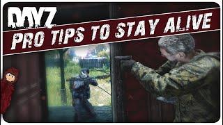 The ONLY PVP Tips You NEED to Dominate and Survive in DayZ | 2024 Guide