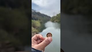 Why people put coins in fallen trees