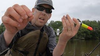 River Fishing for Catfish with Floats - Multi species slam on Mystery River