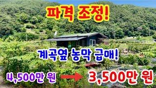 [157] 거창땅 거창토지 파격 조정 계곡옆 농막 급매! 434m2(131평)