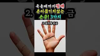 죽을때까지 절대 돈이 끊기지않는 최고의 손금 3가지 #손금보는법