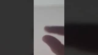 маджик