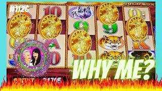 5 COIN BONUS on BUFFALO GOLD on a low bet. Bonus After Bonus/ Money Shredded? #buffalogold #slots