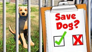 I Opened a DOG SHELTER to Rescue Homeless Dogs!