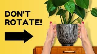 5 Outdated Plant Care Tips to Ditch in 2025