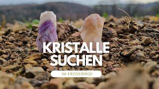 Ich suche Neujahrs-Kristalle - Amethyst, Rauchquarz, Citrin! - Edelsteine finden in Deutschland