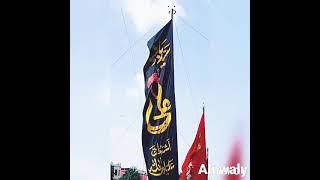 Ali waly alam commetti کراچی